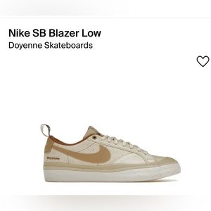 Brand new Nike SB!
